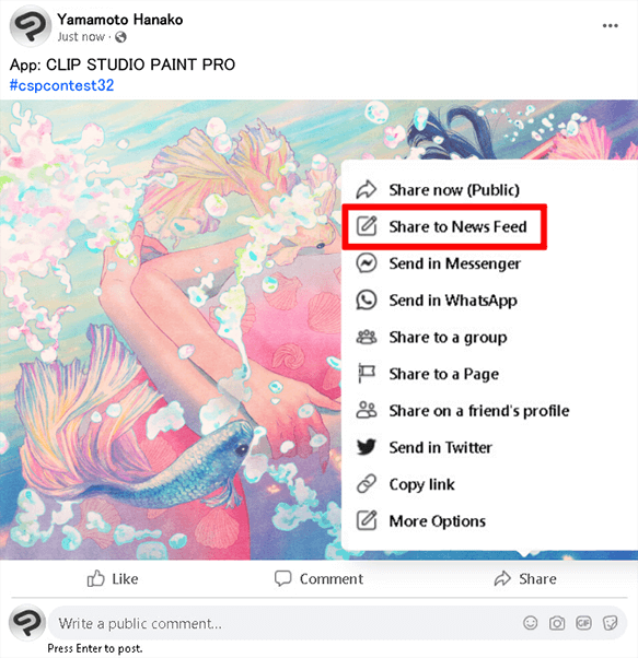 Example of Facebook entry
