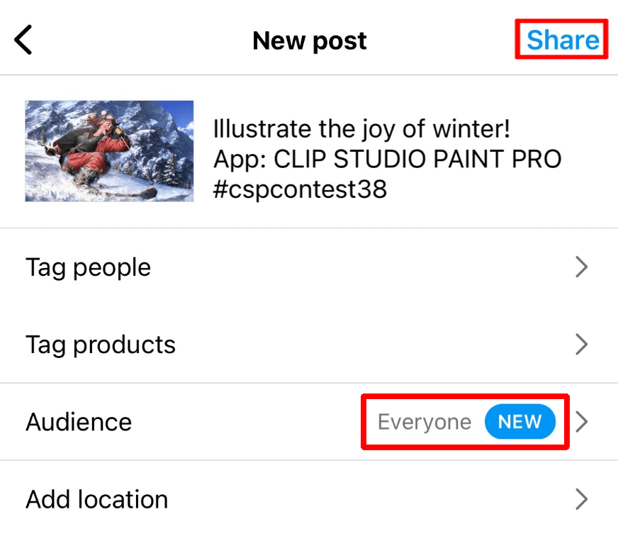 Example of Instagram entry