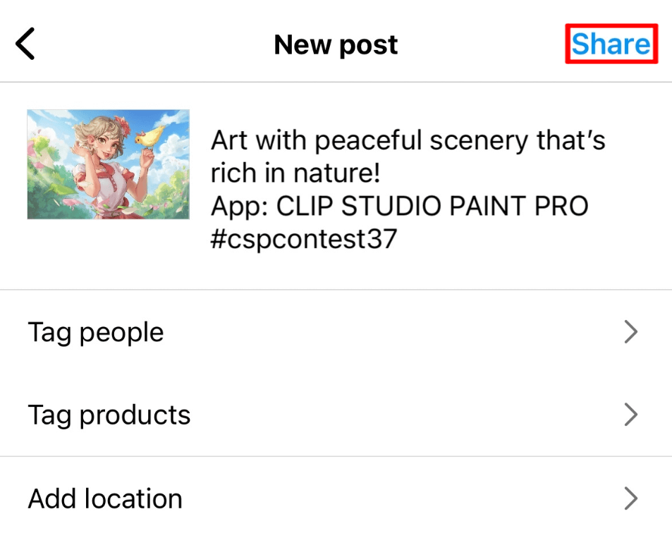 Example of Instagram entry