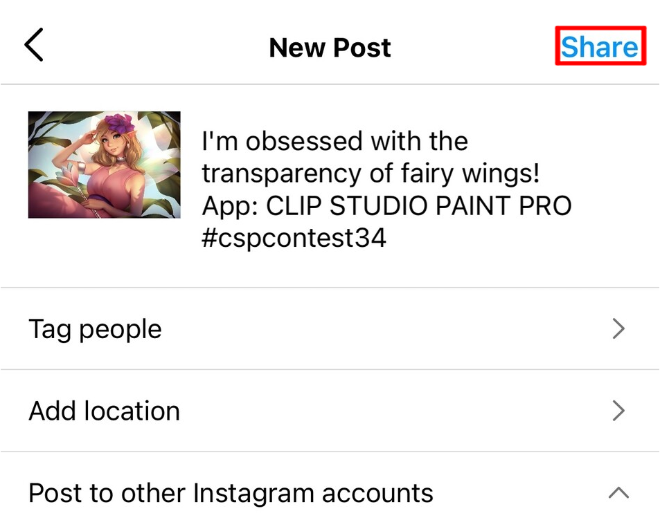 Example of Instagram entry